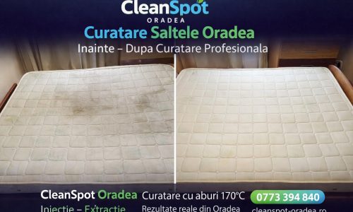Curățare tapițerie, canapele și interior auto în Oradea | CleanSpot